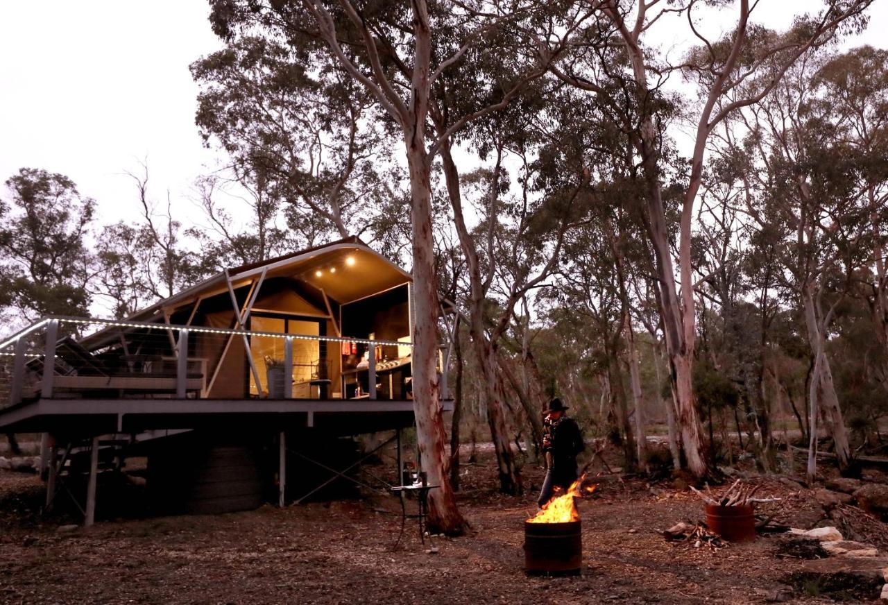 Wallabies Rest Ben Bullen Ngoại thất bức ảnh