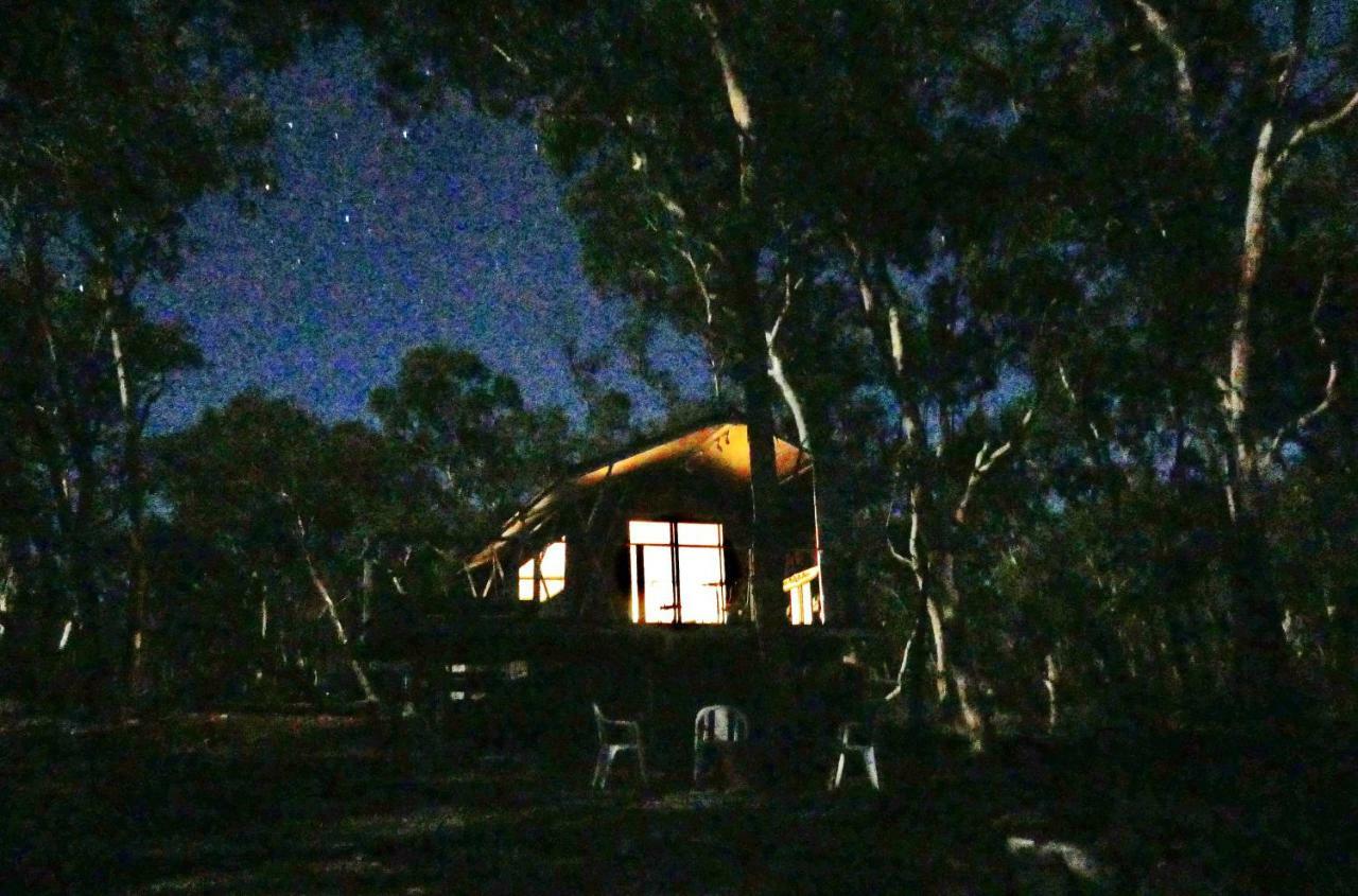 Wallabies Rest Ben Bullen Ngoại thất bức ảnh